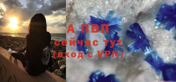 дурь Няндома