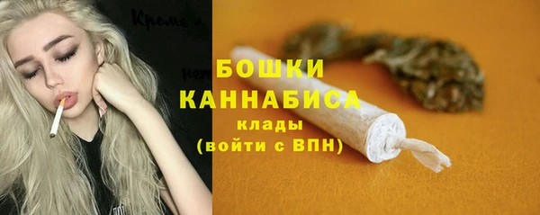 ГАЛЛЮЦИНОГЕННЫЕ ГРИБЫ Осинники