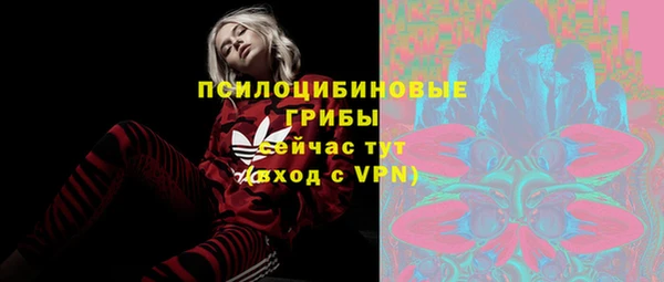 дурь Няндома