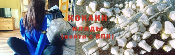 дурь Няндома