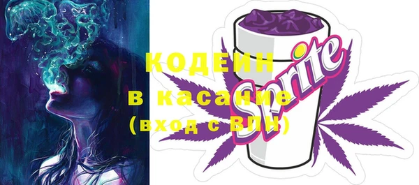 дурь Няндома